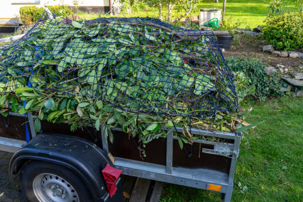 Reliable Highland Lakes, AL Junk Removal Services Solutions